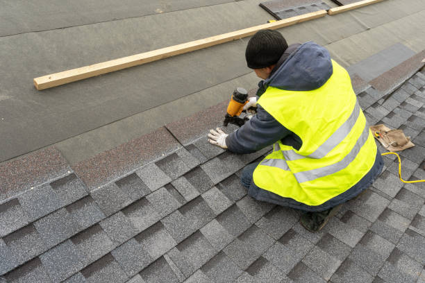 Best Local Roofing Companies  in Little River Academy, TX